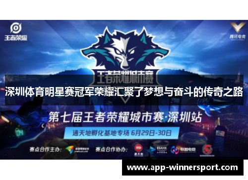 深圳体育明星赛冠军荣耀汇聚了梦想与奋斗的传奇之路
